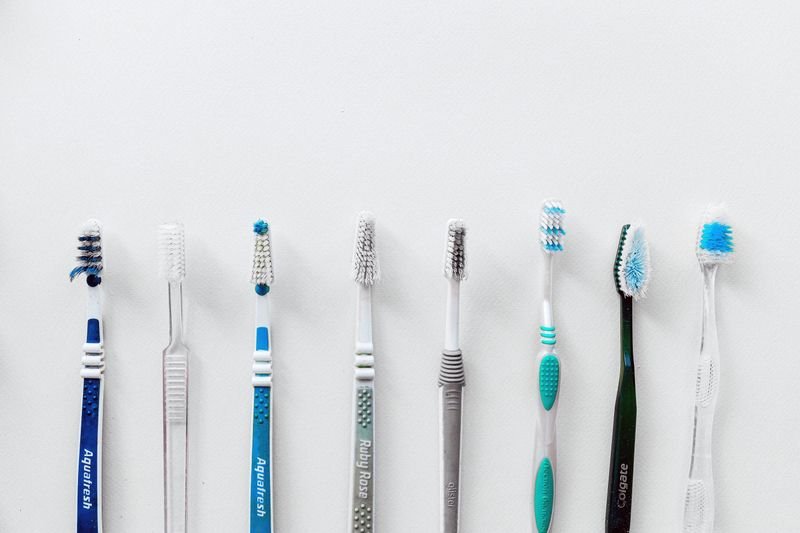 How to Brush Your Dog's Teeth at Home (Step by Step)